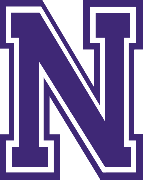 Northwestern State Demons 2000-2007 Alternate Logo iron on transfers for clothing